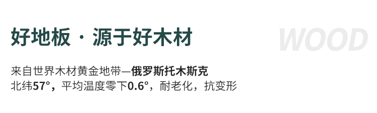 石楓木體育運動木地板